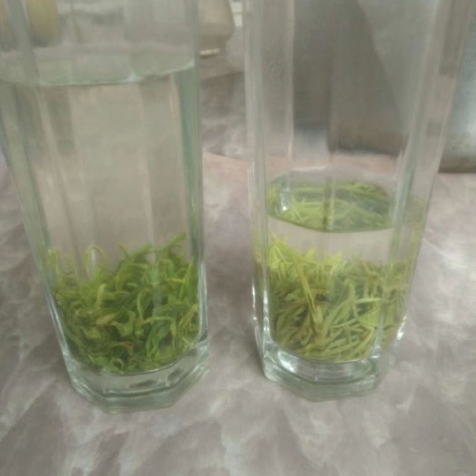 贵定县贵州绿茶 1年以下