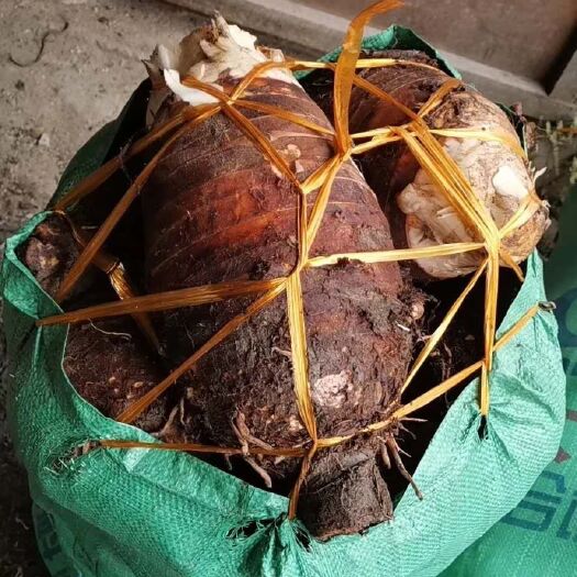 江永县香芋 包粉包糯包香包你满意