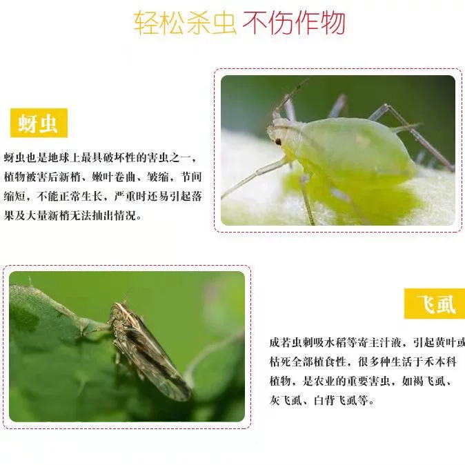 70%吡虫啉杀虫剂蚜虫潜叶蛾叶蝉飞虱粉虱 包邮24小时发货