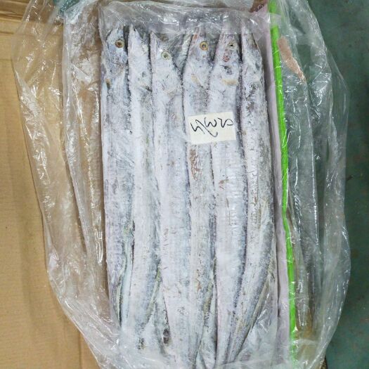 佛山巴基斯坦带鱼  0.5公斤以下