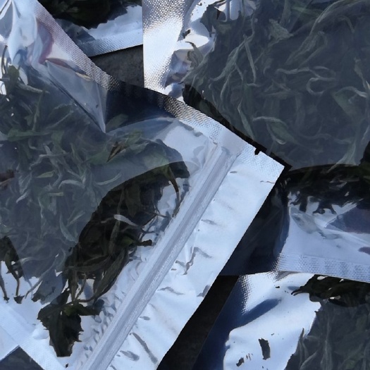 福鼎市 福鼎白茶，白牡丹