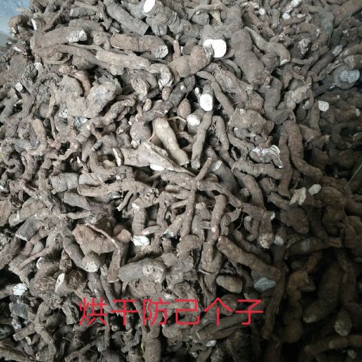 贵溪市防己  江西道地药材，一手货源
