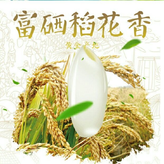 海伦市 富硒大米  东北新米 农家五谷粗粮