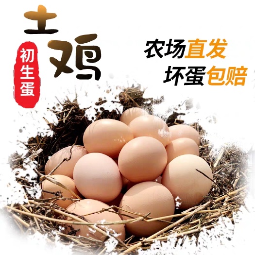 辉县市自家散养土鸡蛋，初生蛋，直销，适合孕妇，婴幼儿。可一件代发！