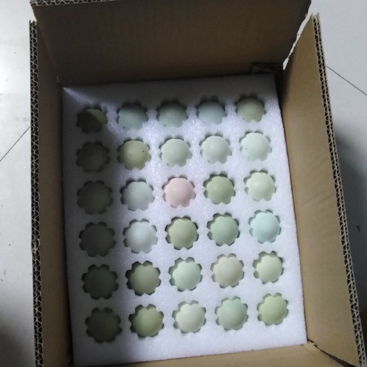 宁乡市 虫子鸡蛋