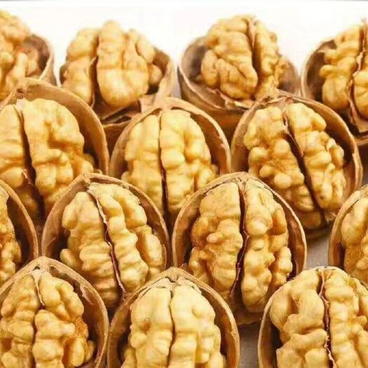 阿克苏市纸皮核桃 皮薄果实饱满