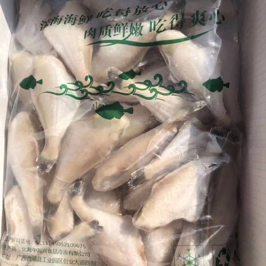 江刀鱼 精品耗儿鱼