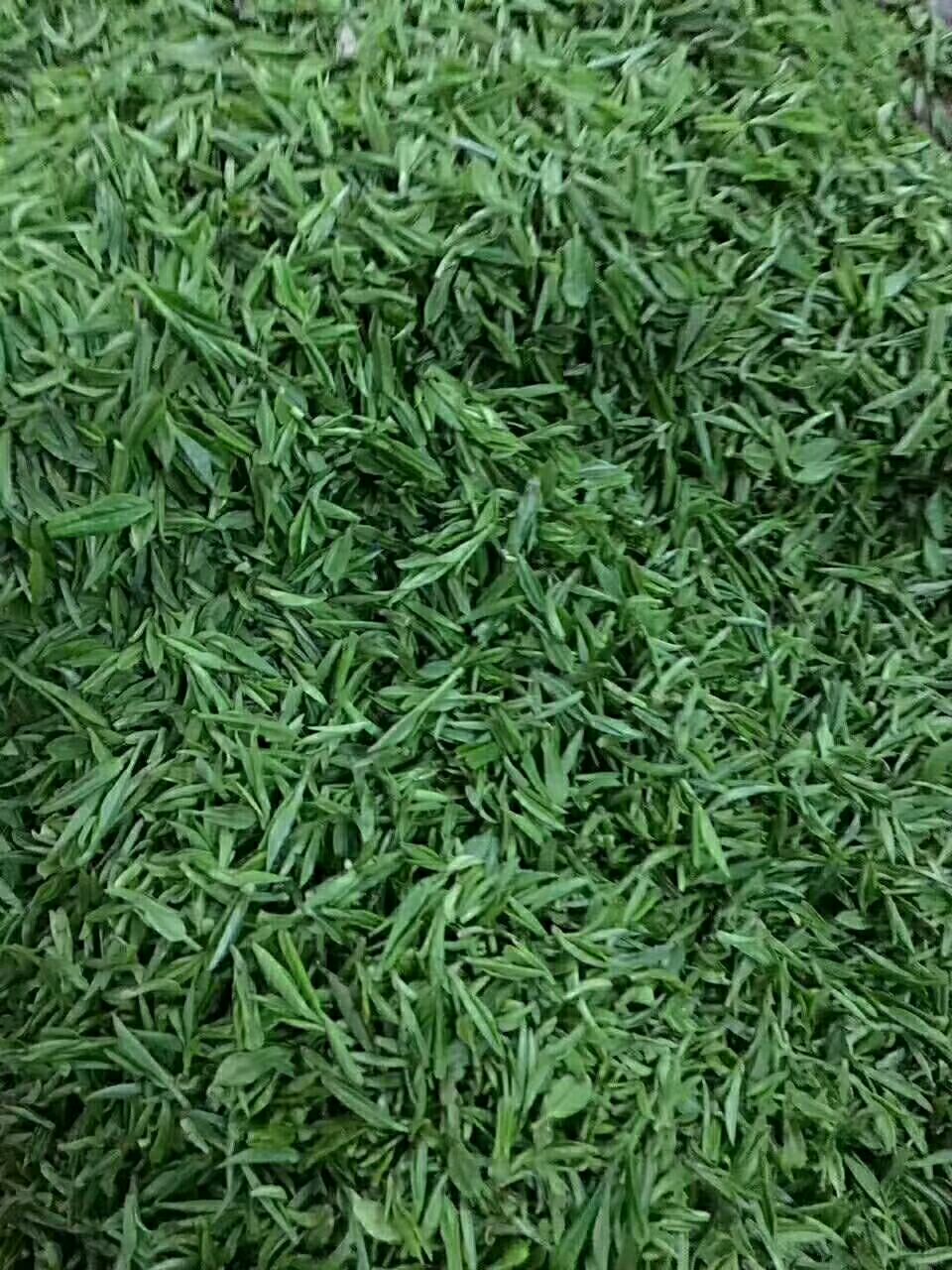 野生绿茶 高山野茶纯有机绿色食品