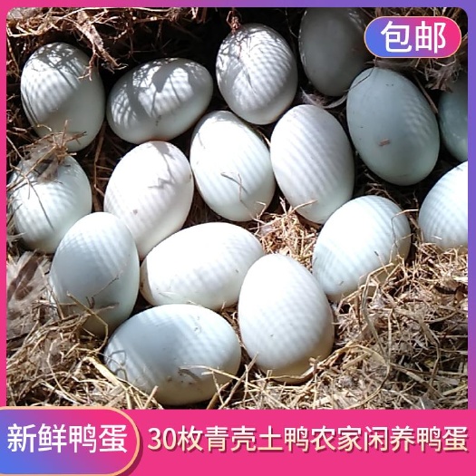 天门市 新鲜鸭蛋 青克鸭蛋 包邮