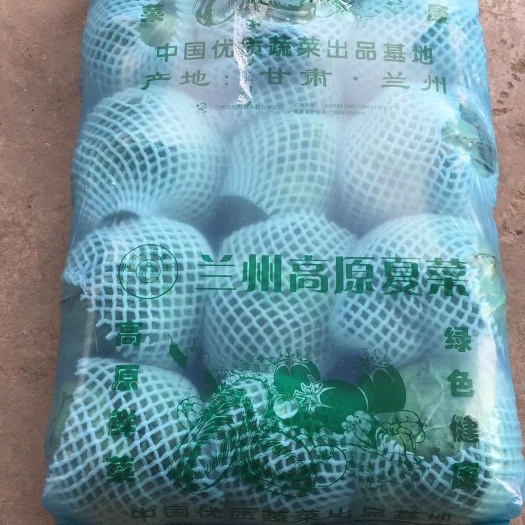 定西绿包菜  绿甘蓝 兰州货蔬菜专业代办