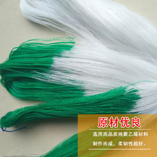 庆云县爬藤网