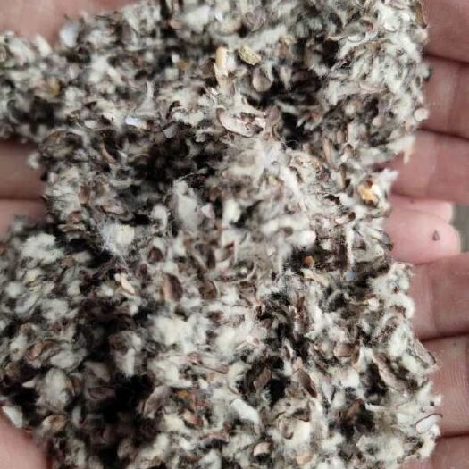 石河子市 棉籽壳
