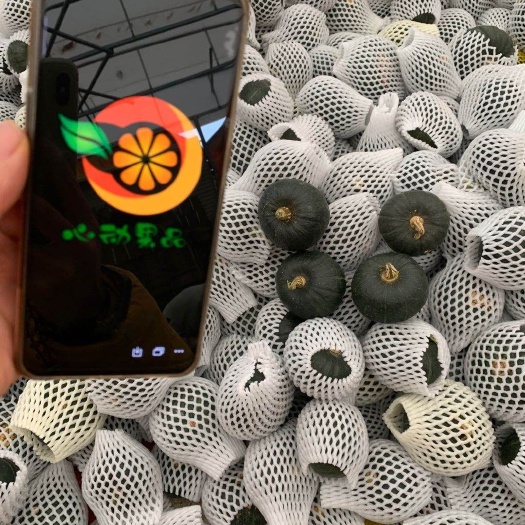 昆明亏本冲量【坏损包赔包邮】贝贝南瓜，香甜粉糯回购率高