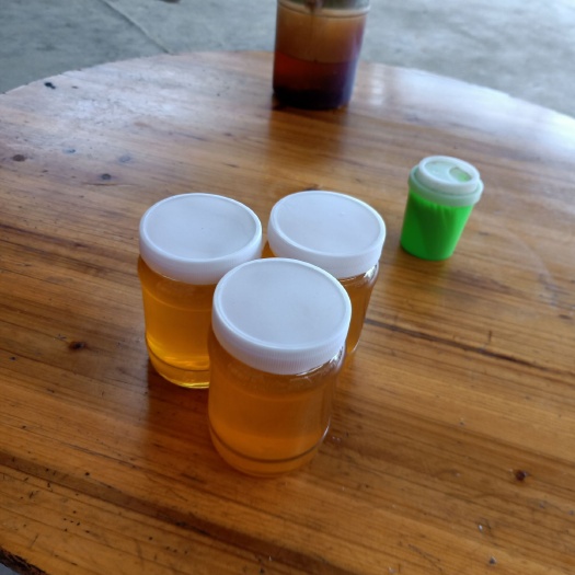 廉江市 自家养殖的蜂蜜