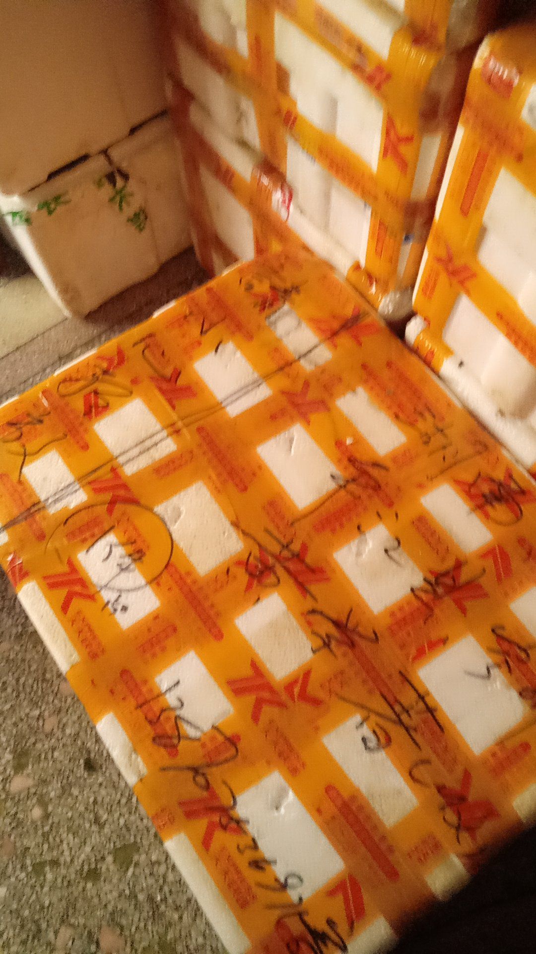 太空莲36号藕种  高产优质莲藕种苗