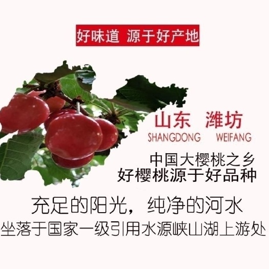 安丘市红灯樱桃  山东省安丘市樱桃车厘子大樱桃，美早先锋红灯