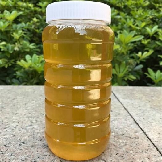 兴宁市 农家自放龙眼蜜