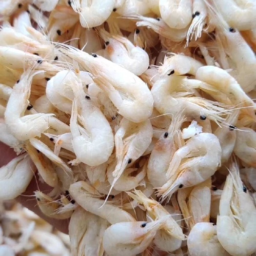 滨州虾皮  麦杆虾，勾子虾