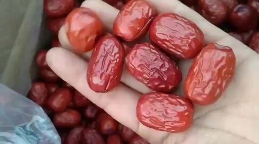 新疆红枣，超特 级若羌灰枣，肉厚核小，甜美