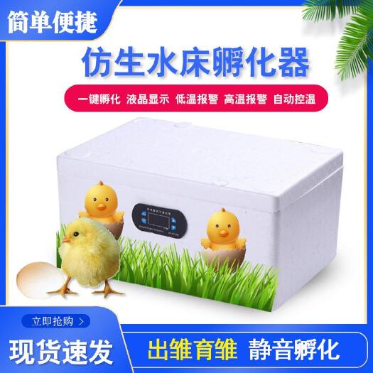 沭阳县养殖孵化机 水床孵化器全自动家用孵化箱鸡鸭鹅蛋高出壳率大容量双电源孵化器