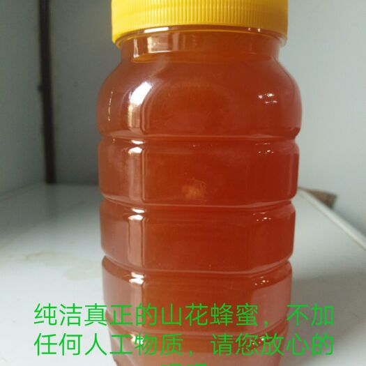 西宁蜂巢蜜  纯真山花百样花蜂蜜