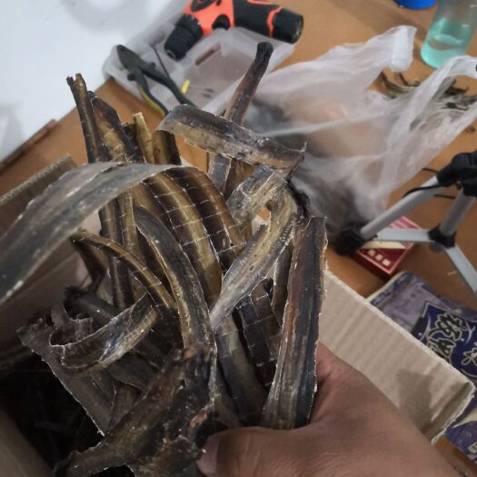 利辛县 长期供应全开地龙干货