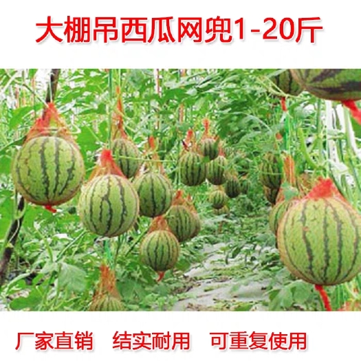忠县 大棚吊西瓜网兜厚吊瓜挂瓜网袋子哈密瓜红色带绳塑料厚网袋包邮的