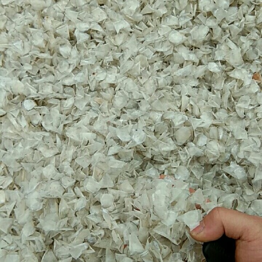 益阳鱼胶  干鱼鳞片