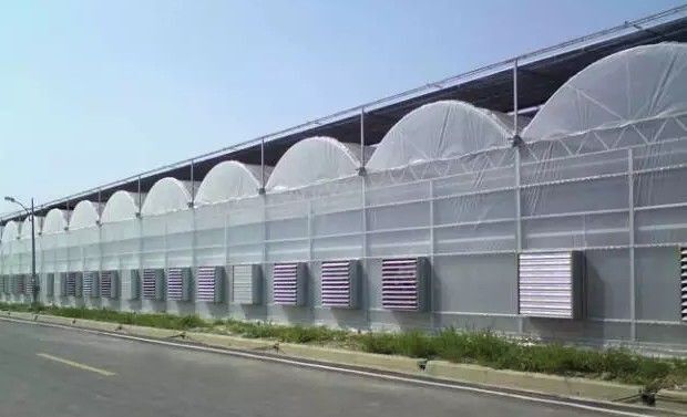 泊头市连栋棚 连栋膜棚，大棚骨架厂家直销