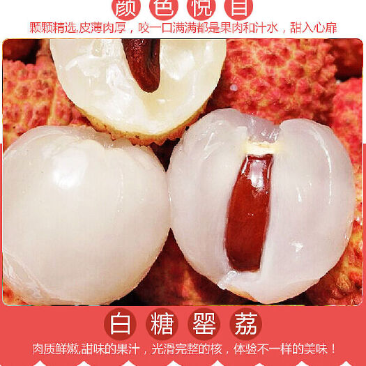 高州市 高州生态荔枝