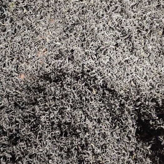 太湖县 大别山正宗纯绿茶