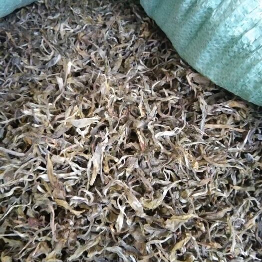 景谷县 云南普洱茶，可以基地收购