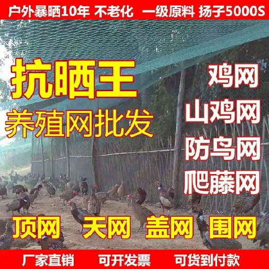 荷兰网  养鸡网养殖菜园围栏网鸭鹅网拦鸡网塑料尼龙山鸡网安全防护网挡围
