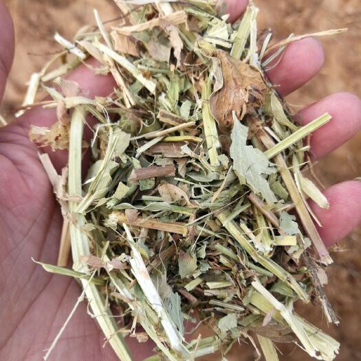 浚县秸秆类饲料 现有一万五千吨花生秸秆羊草出售。