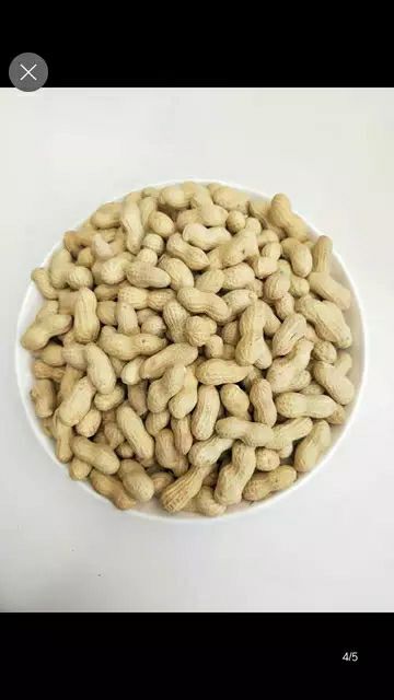 辉县市天府花生  河南天府带壳生花生米精选果做种子榨油都行
