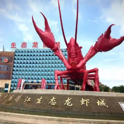 潜江市 潜江稻田小龙虾 规格硬 肉质细腻 底板干净
