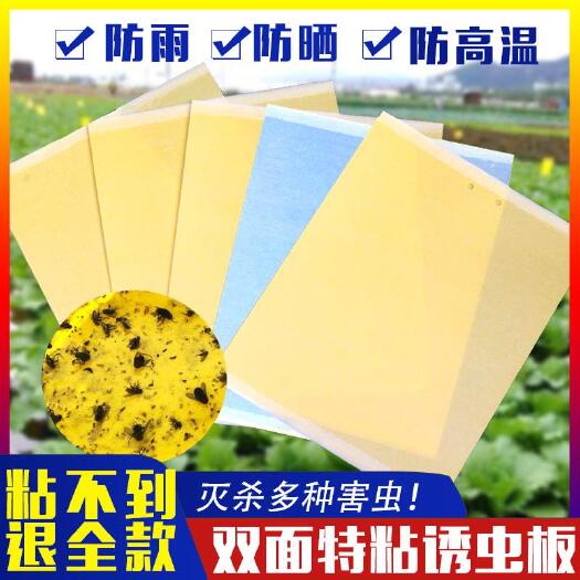 曹县 黄色强力物理粘虫板家用双面诱虫包邮小黑飞虫果园专用蓟马诱虫板