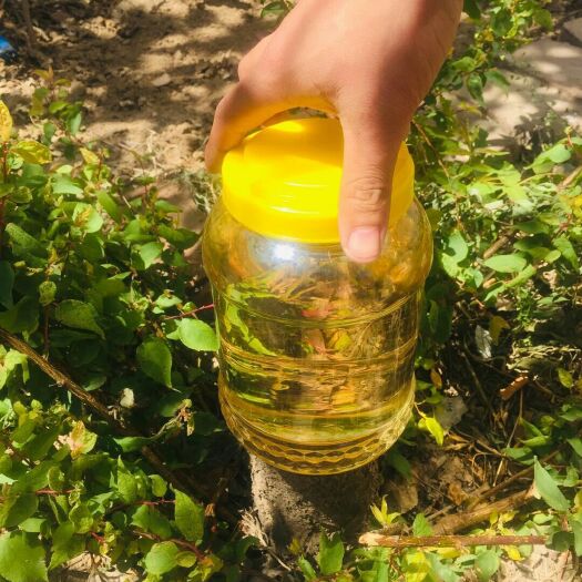 滨州 蜂蜜