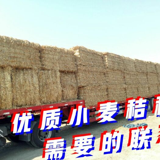 涡阳县长期供应小麦秸秆！量大优惠！非诚勿扰