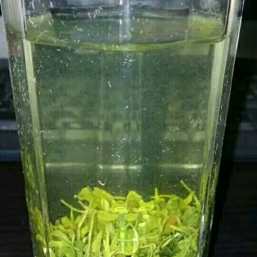 太湖县野生绿茶 1年以下