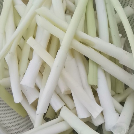 监利市 现挖蒲菜大量出售
