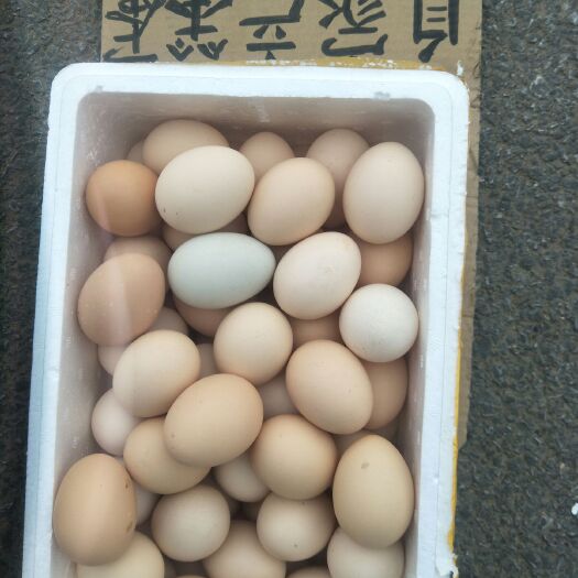 新民市草鸡蛋 食用 箱装