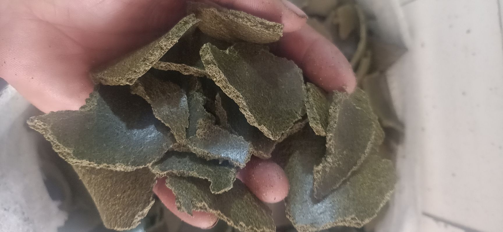 菜籽饼饲料 菜籽青饼