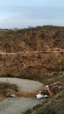畜牧养殖用地 沂源县养殖场