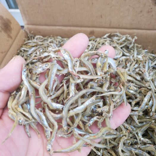 日照银鱼干  牙签鱼银针鱼海产干货小鱼干鱼干