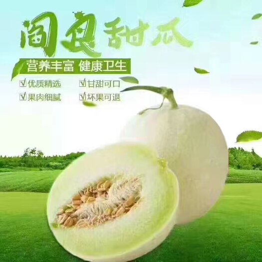 西安阎良甜瓜
