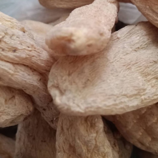 神农架天麻 因为绿色所以健康