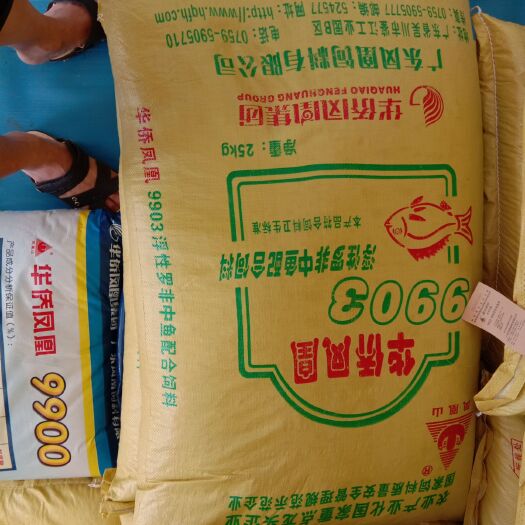 海口饲料鱼  华侨凤凰饲料，厂家直销