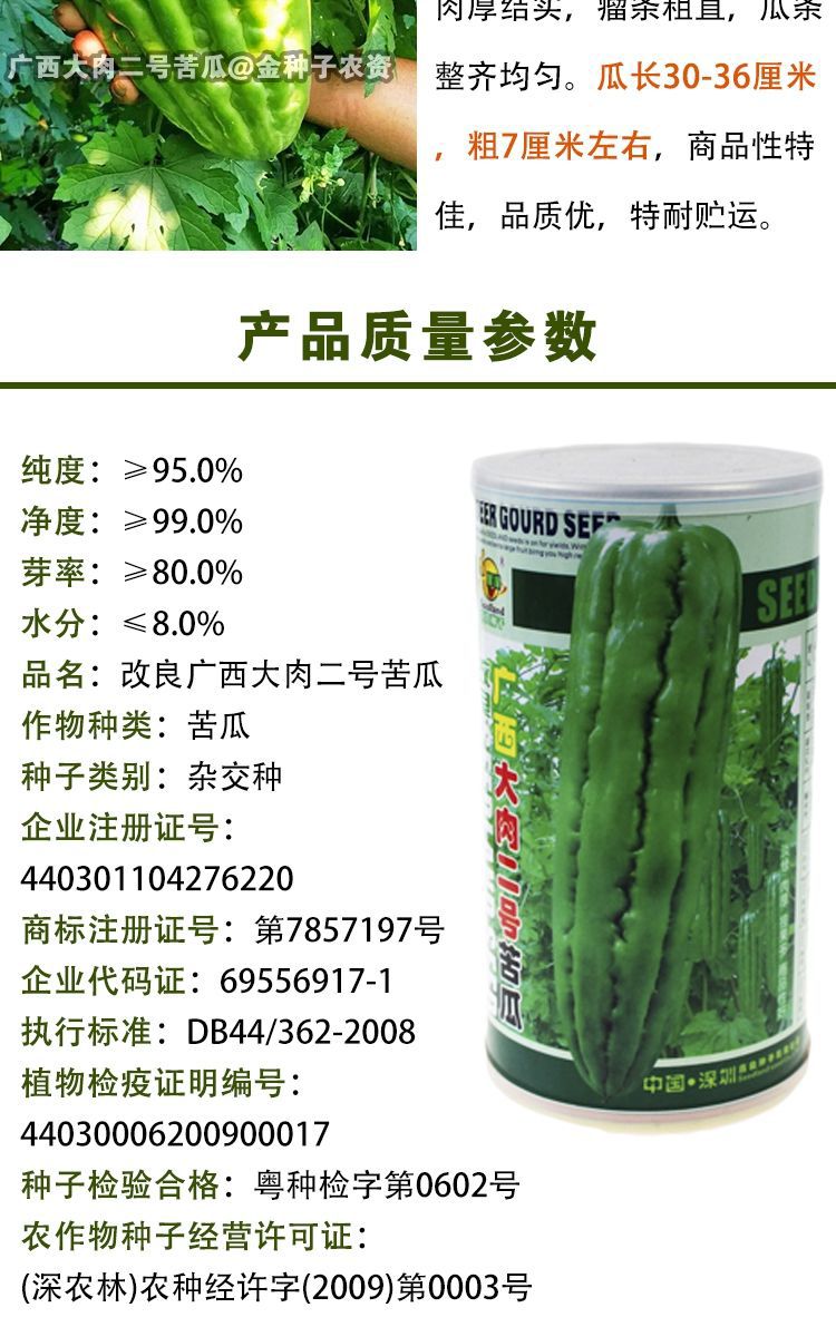 深圳大肉油绿苦瓜种籽早熟耐热四季易播绿油苦瓜种子蔬菜种子