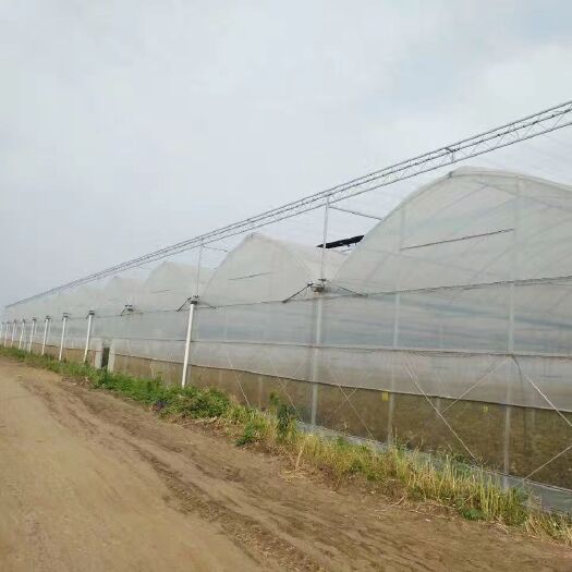 北京玻璃温室大棚 常年收购！出售二手温室大棚，钢结构